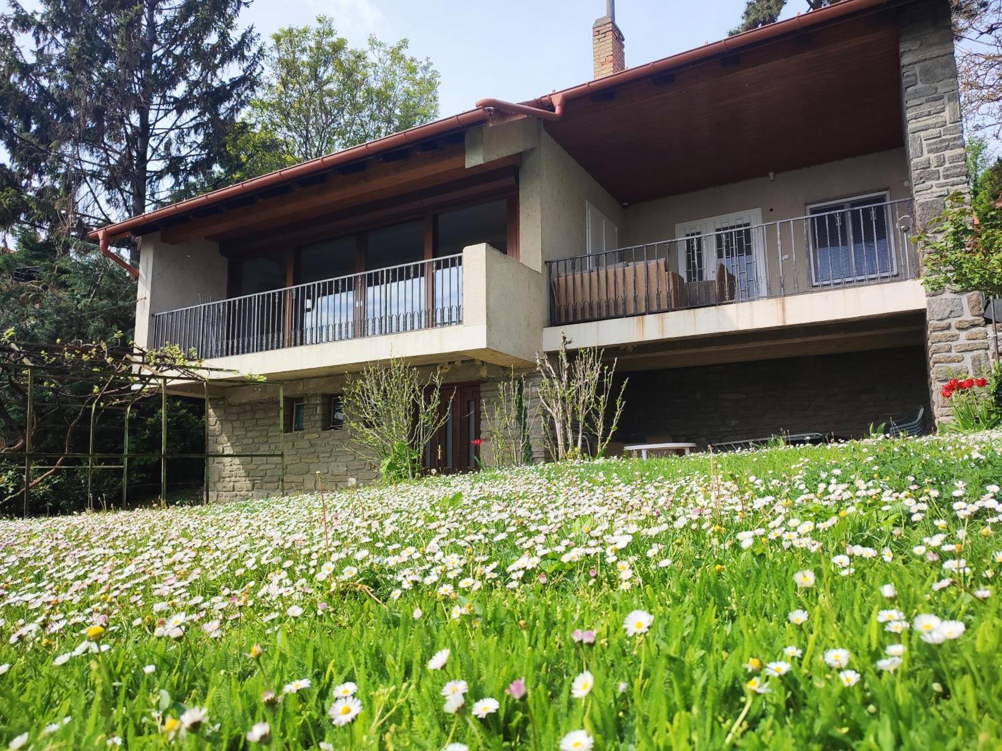 Dorka Villa Tihany Buitenkant foto